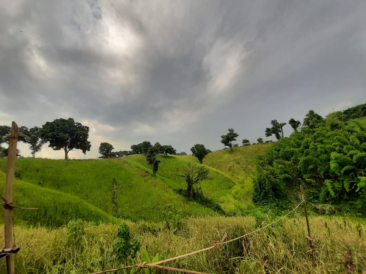 Jhum House Jhum Cultivation: A Way of Life in Tripura